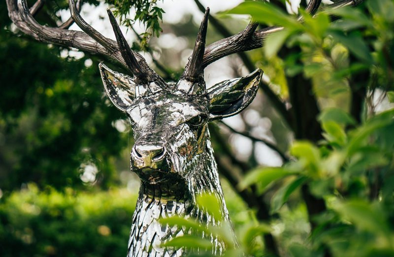 stainless steel deer (7)