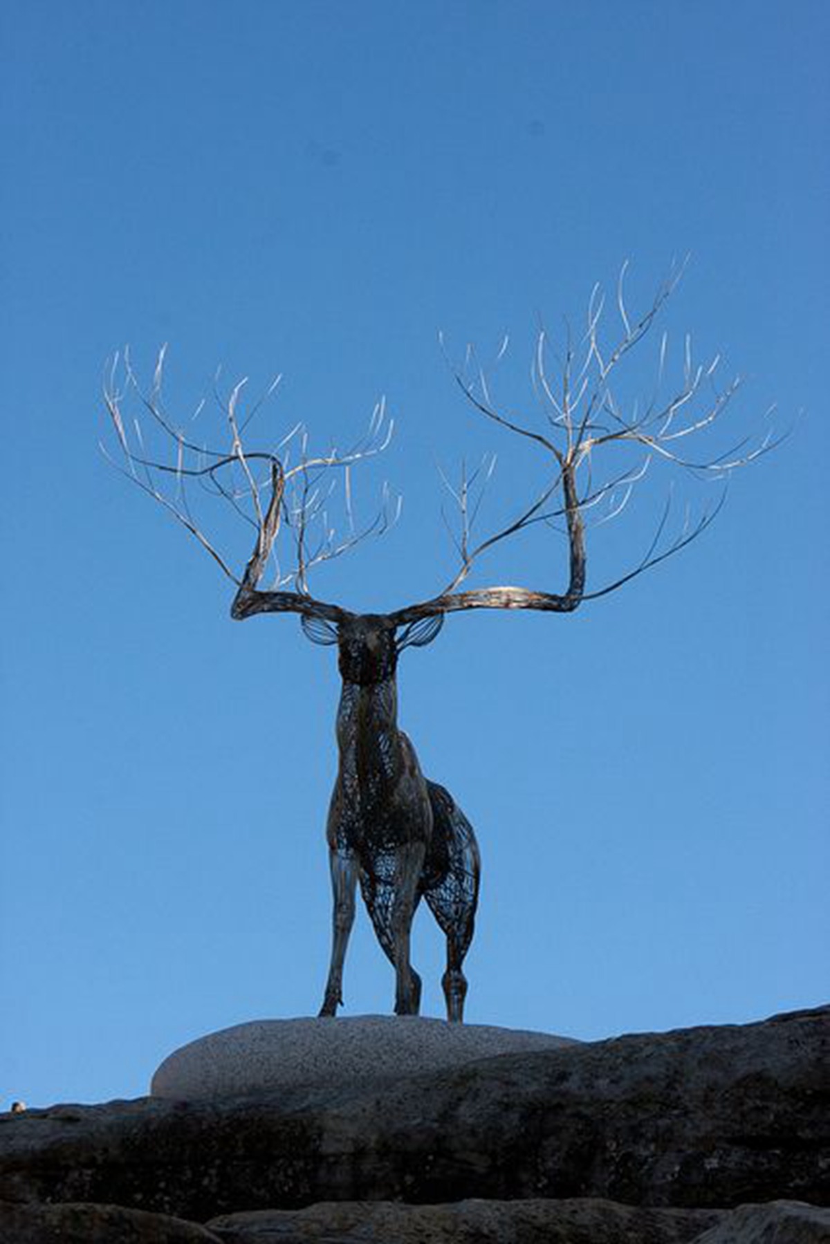 metal wire deer sculpture (4)