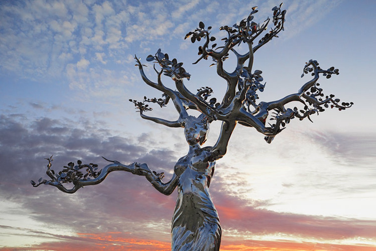 stainless steel tree sculpture (5)