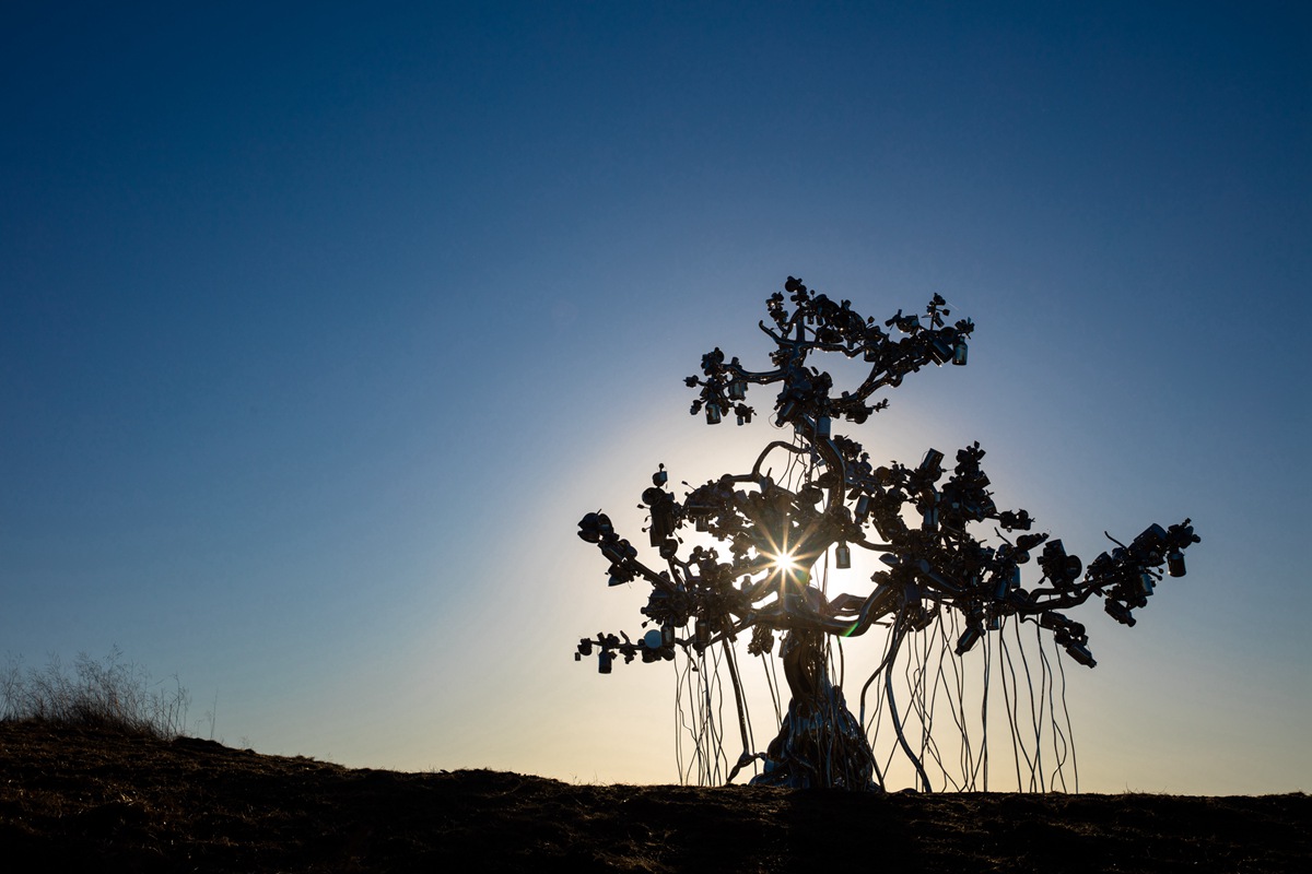 stainless steel tree sculpture (6)