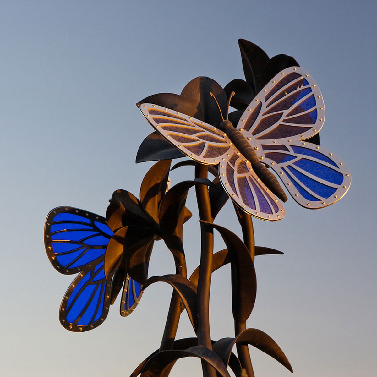 stainless steel butterfly sculpture (2)