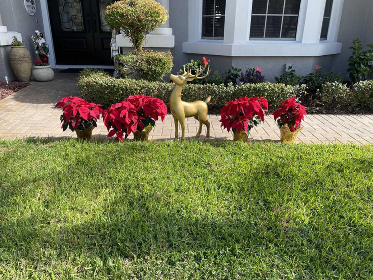 stainless steel deer sculpture (3)