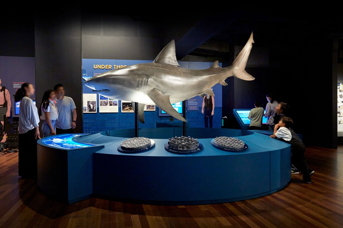 stainless steel shark sculpture (1)