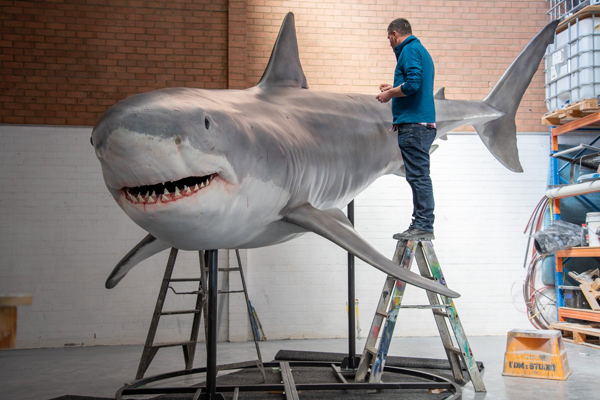 stainless steel shark sculpture (6)