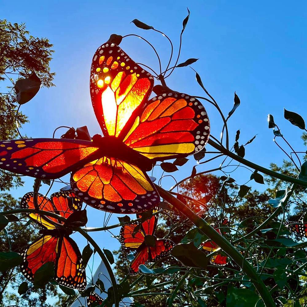 Butterfly Art Sculpture (7)